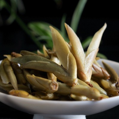 批发云南高山茶 普洱生茶 春茶芽孢 白芽孢茶叶 明前早春大雪山茶图4