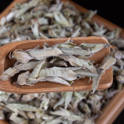 批发云南高山茶 普洱生茶 春茶芽孢 白芽孢茶叶 明前早春大雪山茶图2