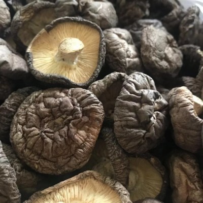 大量批发干香菇 手选香菇 打粉 煲汤 欢迎咨询一件代发干香菇图3