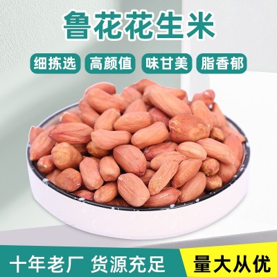 厂家批发袋装花生米 家用商用生花生米农家红衣大粒饱满花生米仁