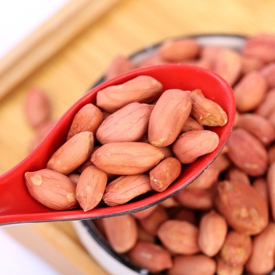 厂家批发袋装花生米 家用商用生花生米农家红衣大粒饱满花生米仁图4