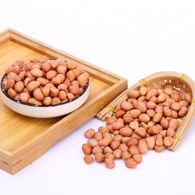 厂家批发白沙花生米 商用烘焙奶茶店 农家红衣大粒饱满花生米仁图2
