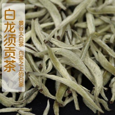 2023年头春景谷大白茶单芽大芽头白龙须白毫银针月光美人500g茶叶