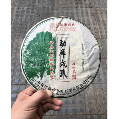 普洱茶 生茶 勐库戎氏 母树茶 2013年 昆明仓 冰岛茶原料图4