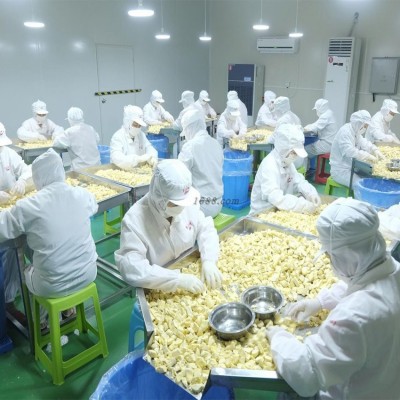 冻干草莓脆厂家现货批发净重好品种香味浓里外都红冻干草莓干批发图4