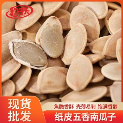 南瓜子豹子头纸皮五香味南瓜子食品休闲年货炒货新货 厂家批发