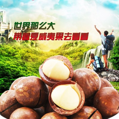 厂家直发夏威夷果大果坚果干果零食150g罐装/250g袋装/500g袋批发图3