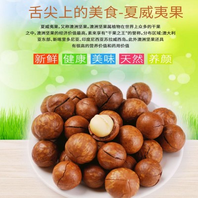 厂家直发夏威夷果大果坚果干果零食150g罐装/250g袋装/500g袋批发图5