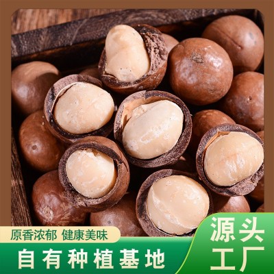 厂家直供夏威夷果熟制奶油味原味坚果干果零食休闲食品散装批发