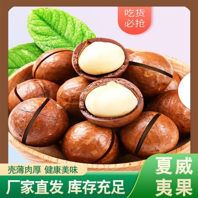 厂家直供夏威夷果熟制奶油味原味坚果干果零食休闲食品散装批发图5