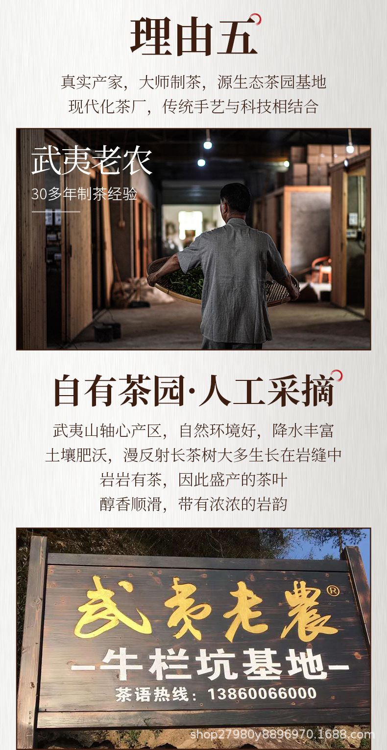 武夷老农老枞水仙_08.jpg