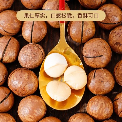 小罐装夏威夷果批发新货大颗粒奶香味坚果网红休闲小零食图3