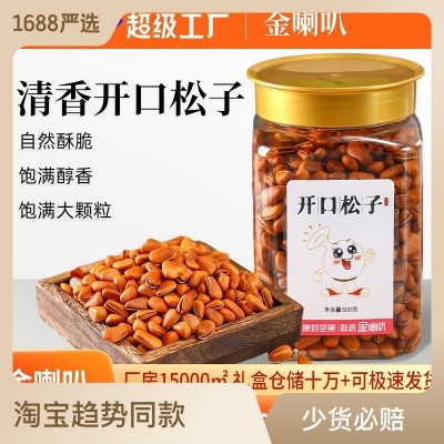 东北松子王 500g罐装松子批发 手剥松子