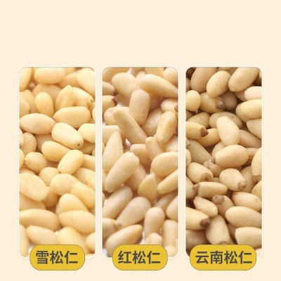 加工定制新货东北松子仁特大颗粒雪红云南松仁散装原味松仁真空装