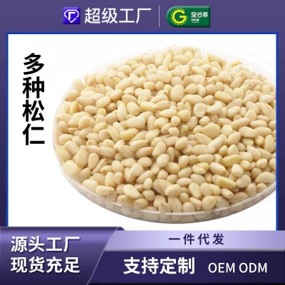 加工定制新货东北松子仁特大颗粒雪红云南松仁散装原味松仁真空装图2