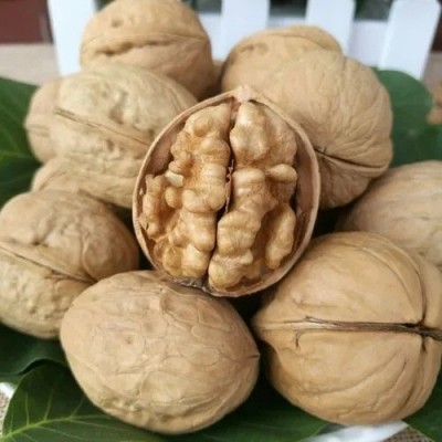 正宗新疆特产坚果手捏即开新货休闲零食500克精装包邮185纸皮核桃图2