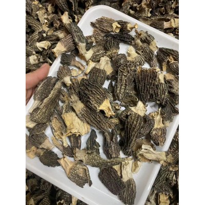 羊肚菌干货整箱批发菌云南特产羊肚菌羊肚菌碎产地直发一件代发图2
