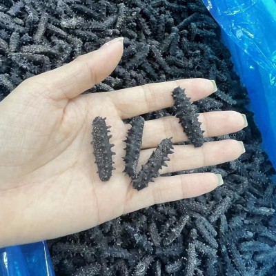 源头工厂 淡干海参大连海参干货批发淡干海参一盒100条一件代发图4