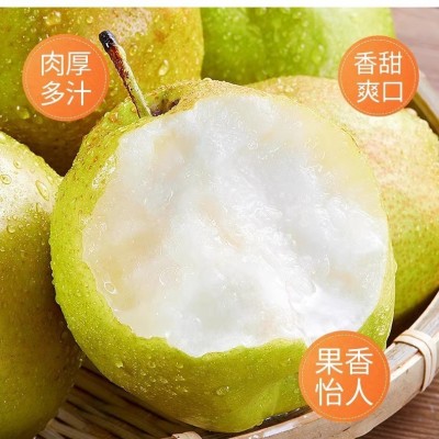 现货山西玉露香梨子新鲜应当季孕妇水果酥梨脆甜多汁整箱礼盒8斤图2