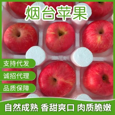 果园直供 山东烟台红富士当季新鲜现摘红富士水果 整箱批发红富士