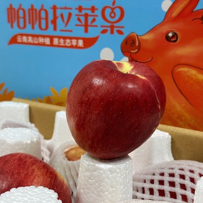 果园直供 脆甜多汁帕帕拉苹果自然成熟 诚招代理品质保障