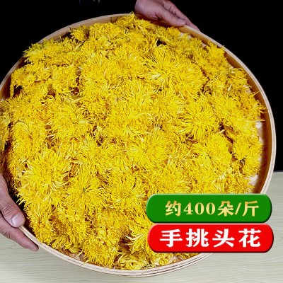 新花修水金丝皇菊一朵一杯散装养生茶花草茶黄山菊花茶批发图2