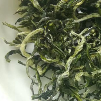 明前新绿茶直条毛尖浓香耐泡翠芽雀舌都匀白毛尖曲亳电商货源图6