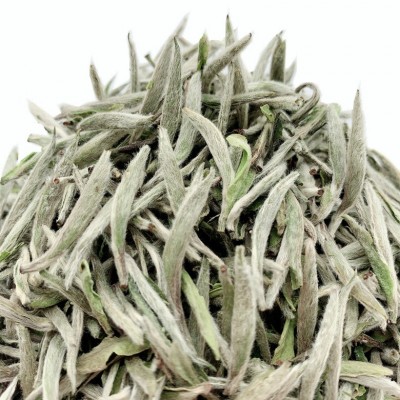 福鼎头采白毫银针 明前头春白茶芽茶磻溪银针散装厂家批发