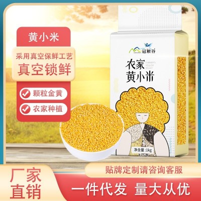 黄小米1kg农家种植色泽金黄小米五谷杂粮粥粗粮批发一件代发