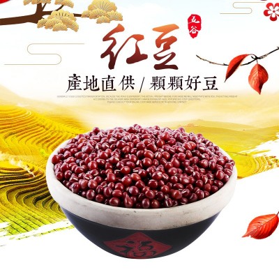 产地货源批发东北珍珠粒红豆 煮粥原料 五谷杂粮红小豆袋装50斤
