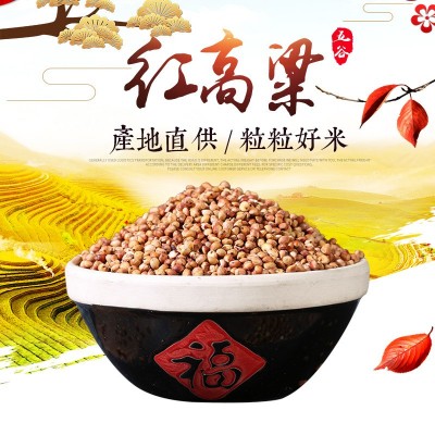 产地货源批发红高粱 酿酒酿醋高粱饲料 袋装喂鸽子五谷杂粮50kg