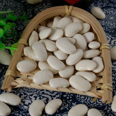 产地货源当季大粒白芸豆 八宝粥食品原料五谷杂粮粗粮批发白腰豆图3
