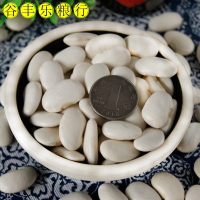 产地货源当季大粒白芸豆 八宝粥食品原料五谷杂粮粗粮批发白腰豆