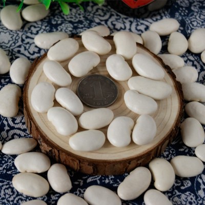 产地货源当季大粒白芸豆 八宝粥食品原料五谷杂粮粗粮批发白腰豆图5
