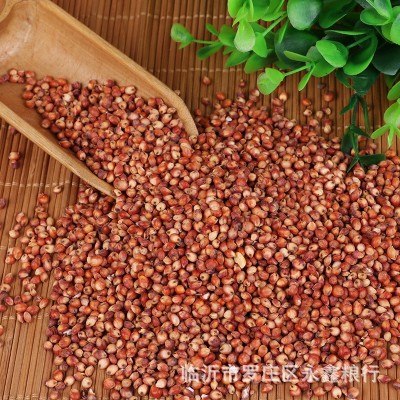 大量现货五谷杂粮袋装高粱 食品酒厂原料酿酒高粱批发 酿酒红高粱图3