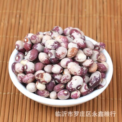 批发奶花豆圆花芸豆 五谷杂粮袋装25公斤 小花豆熊猫豆食用圆花豆图2