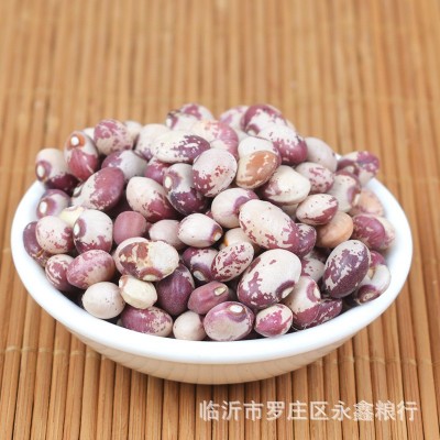 批发奶花豆圆花芸豆 五谷杂粮袋装25公斤 小花豆熊猫豆食用圆花豆图4