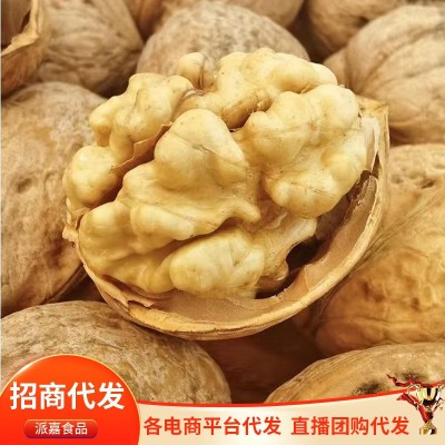 新疆特产185纸皮核桃批发500g 手剥新核桃大果坚果零食薄皮生核桃图2
