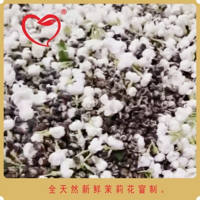 茶叶茉莉龙珠福建茉莉花茶散装批发工厂直供图3