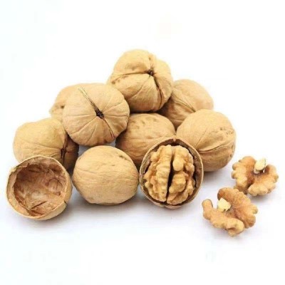 一件代发货新疆薄皮核桃大核桃生核桃袋装 核桃图4