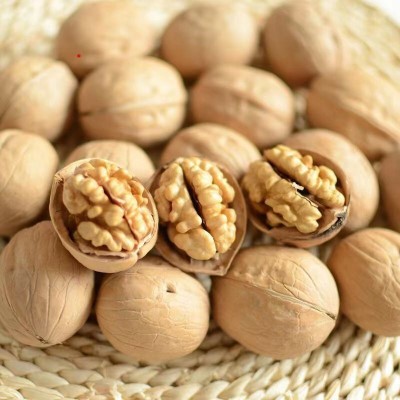 一件代发货新疆薄皮核桃大核桃生核桃袋装 核桃图2