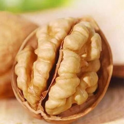 一件代发货新疆薄皮核桃大核桃生核桃袋装 核桃