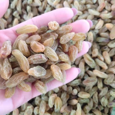 新疆特产无核大粒绿提子葡萄干休闲食品500克装 葡萄干图4