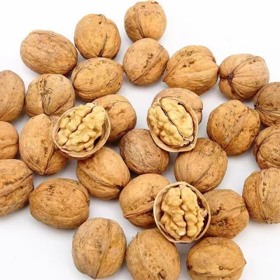 新疆185纸皮核桃薄皮核桃出口源头工厂可商检孕妇儿童坚果零食图5
