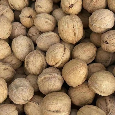 新疆185纸皮核桃薄皮核桃出口源头工厂可商检孕妇儿童坚果零食图4