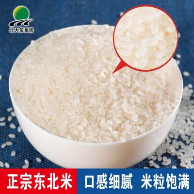 北大荒东北大米10斤珍珠米真空装新米上市大米5kg香米珍珠米粳米