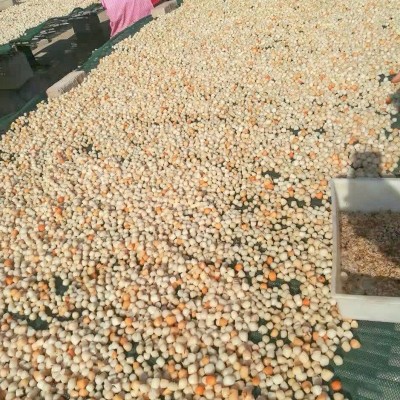 批发干贝瑶柱扇贝干海鲜干货特产一件代发海鲜水产食用农产品批发图4