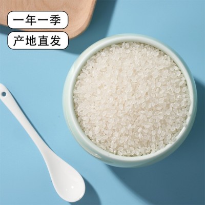 小町米 东北特产松花江大米20斤实惠装当季新米软糯弹滑现货图4