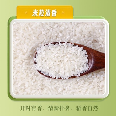 五常大米批发稻花香2号有机大米量大价优厂家批发五常稻花香米