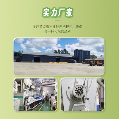 新米不惨一粒陈米米香有嚼劲五常大米批发图2